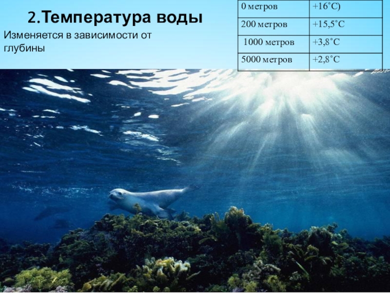 Давление воды на глубине 1000 метров. Глубина 5000 метров. Глубина 1000 метров. Глубина 1000 метров под водой. Глубина 200 метров.