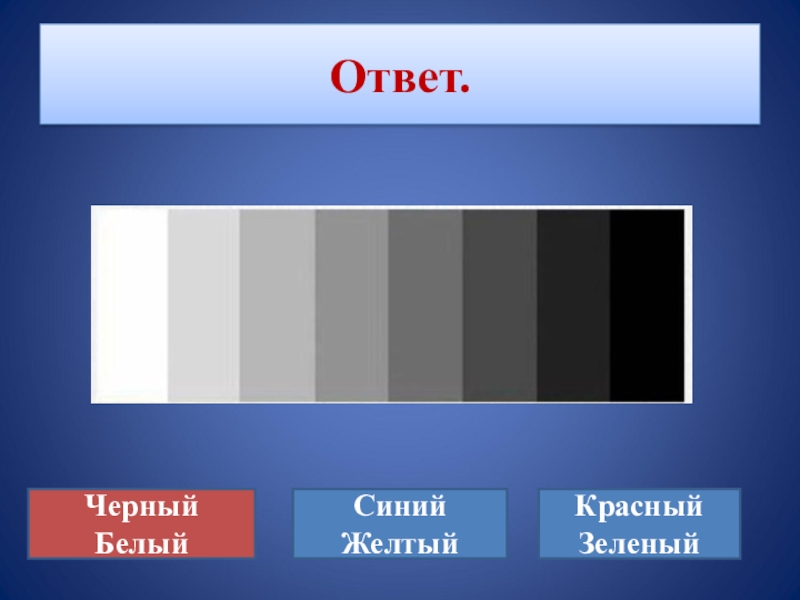 Искусство ответ. Черного, белого, красного, зеленого и синего. Черные ответы. Я чёрный красный жёлтый синий. Форма тёмной ответ.