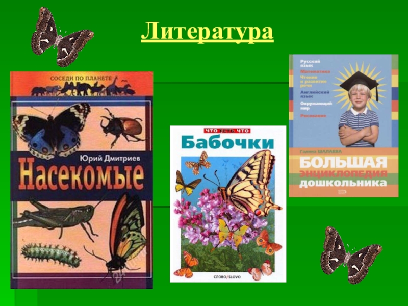 Презентация проектной работы по окружающему миру Чудо природы - бабочки (4 класс) Литература Литература