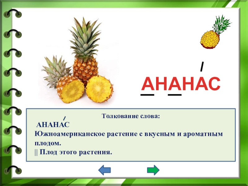 Проект ананас 4 класс