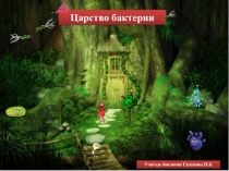 Тест по биологии Царство Бактерии