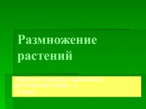 Презентация по познанию мира : Размножение растений
