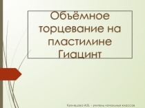 Презентация по технологии Гиацинт