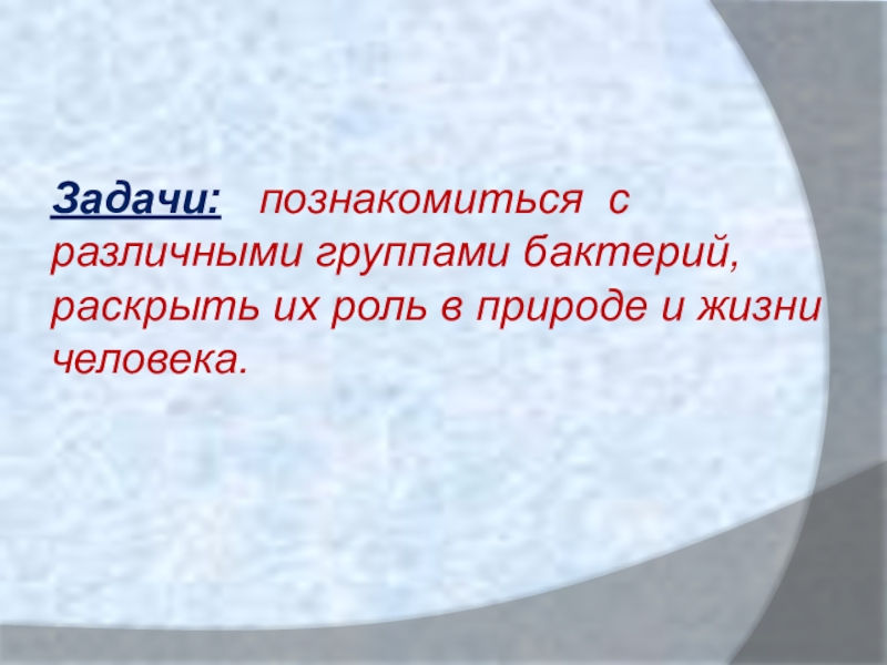 Задача про бактерии. Роль бактерий в природе и жизни человека. Роль бактерий в природе.