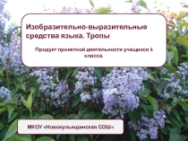 Презентация. Изобразительные средства языка. Продукт проектной деятельности учащихся.