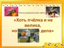 Хоть пчелка и мала, но велики её дела. Исследовательская работа