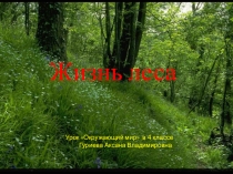 Жизнь леса