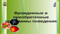 Презентация по биологии Врожденные и приобретенные программы поведения 8 класс