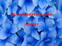 Презентация ученицы Моя семья