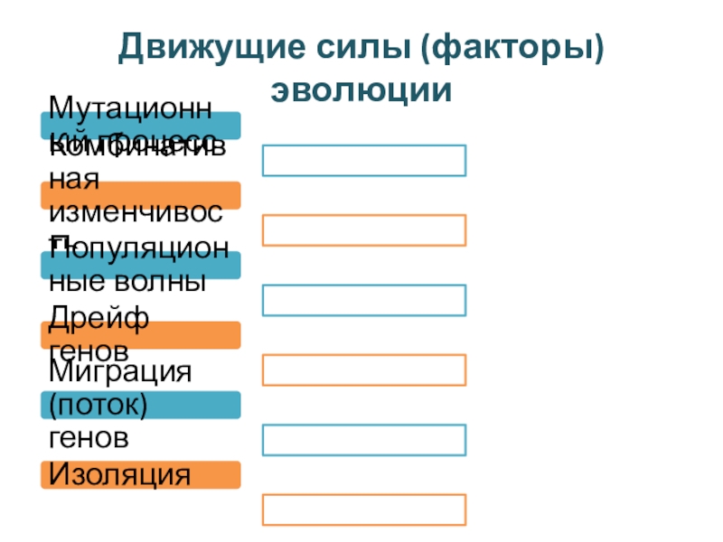 Движущие силы и факторы эволюции презентация