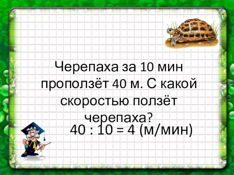 Скорость черепахи 5 м мин. График черепаха ползет со скоростью 2 м с. Черепаха ползла 2 ч со скоростью 15.3 м/ч и 3. Черепаха ползла со скоростью 15 3м/ч и 3. Какую скорость набирает черепаха.