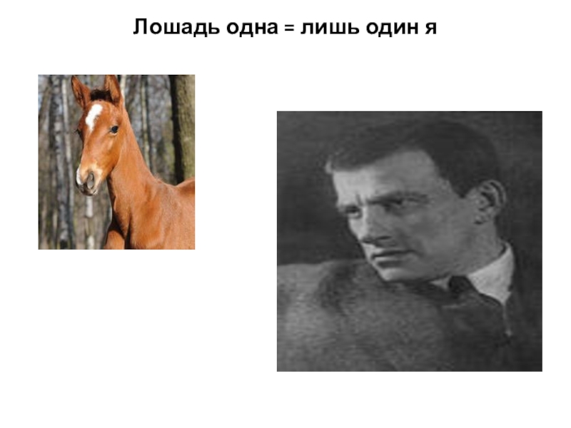 Кто написал хорошее отношение к лошадям. Хорошее отношение к лошадям Маяковский. Стихотворение Маяковского про лошадь. Маяковский отношение к лошадям. Стих хорошее отношение к лошадям.