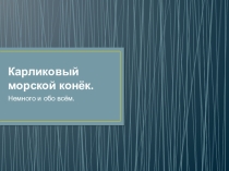 Презентация Карликовый морской конёк 5 класс