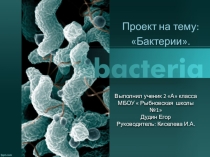 Исследовательский проект 2 класс