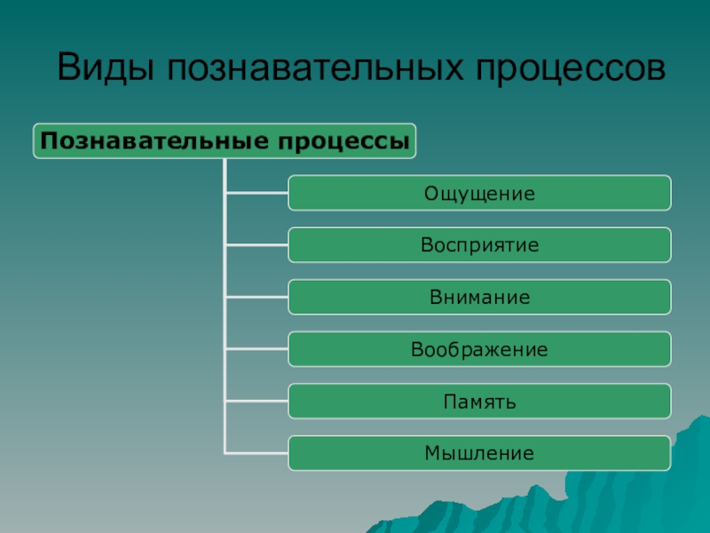 Виды познавательных процессов. Познавательные процессы. Познавательные процессы схема. Название познавательного процесса.