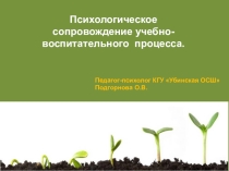 Доклад на педсовете Психологическое сопровождение учебно-воспитательного процесса