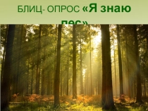 Блиц-опрос - Я знаю лес