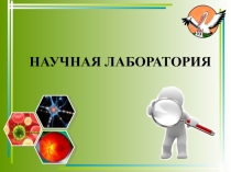Презентация по окружающему миру на тему Лесное сообщество. Грибы
