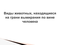 : Вымирающие виды животных по вине человека.
