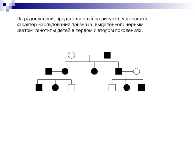 По родословной представленной на рисунке