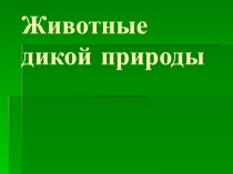 Презентация по окружающему миру на тему Звери