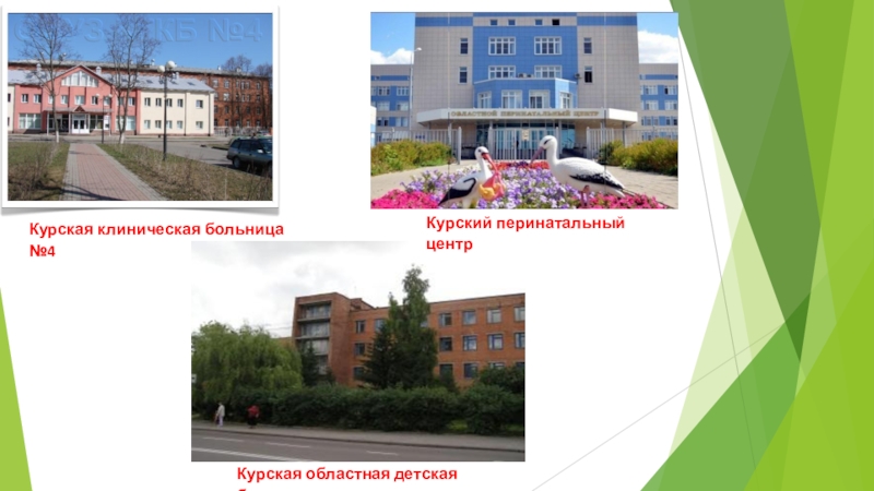 Презентация по родительскому собранию на тему выбор, определяющий судьбу Курская клиническая больница №4Курский перинатальный центрКурская областная детская больница Курская клиническая больница №4Курский перинатальный центрКурская областная детская больница