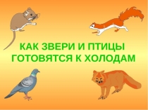 Дикие животные