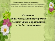 Основная общеобразовательная программа От 3-х до школы