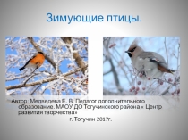 Презентация по окружающему миру на темуЗимующие птицы