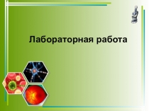 Презентация по биологии для 7 класса на тему: Значение простейших.