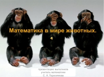 Презентация по математике на тему Математика в мире животных