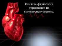 Польза физических нагрузок для сердечно-сосудистой системы