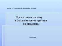 Презентация студентов -Экологические проблемы