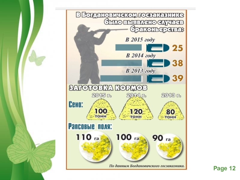 Презентация к проекту Косуля как охраняемый объект Богдановичского заказника