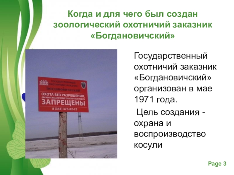 Презентация к проекту Косуля как охраняемый объект Богдановичского заказника Когда и для чего был создан зоологический охотничий заказник «Богдановичский»Государственный охотничий Когда и для чего был создан зоологический охотничий заказник «Богдановичский»Государственный охотничий заказник «Богдановичский» организован в мае 1971