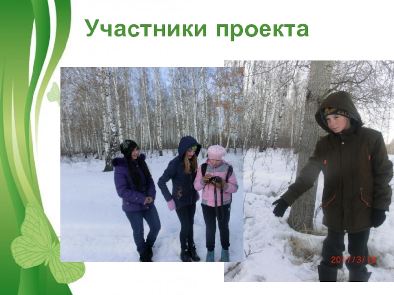 Презентация к проекту Косуля как охраняемый объект Богдановичского заказника Участники проекта Участники проекта