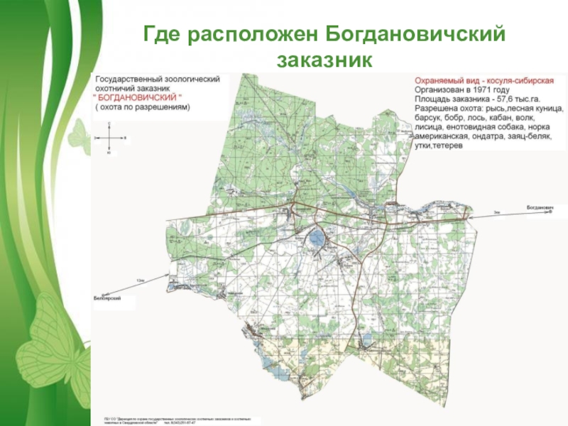 Соликамское охотхозяйство карта