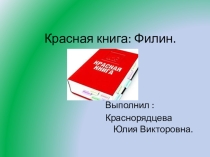 Презентация по окружающему миру на тему  Филин