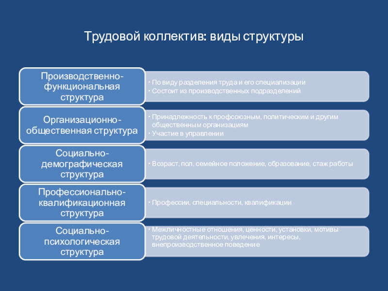 Функции трудовой организации. Структура трудового коллектива. Виды трудовых коллективов. Видовая классификация трудового коллектива. Специфика трудовых коллективов и их классификация.