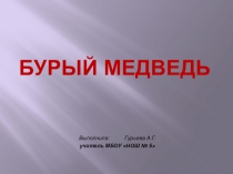 Презентация по окружающему миру Бурый медведь