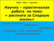ПРЕЗЕНТАЦИЯ РАСПЛАТА ЗА СЛАДКУЮ ЖИЗНЬ