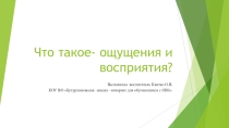 Презентация Что такое- ощущения и восприятия?
