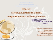 Презентация-проект Породы домашних птиц, выращиваемых в Егиндыколе