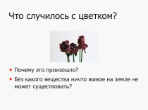 Презентация Вода и её роль в природе