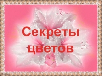 Презентация Секреты цветов 1 часть
