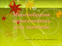 Презентация к уроку биология на тему Разнообразие голосеменных растений