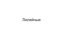 Презентация по теме Семейство лилейные