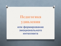 Мастер-класс для молодых специалистов Педагогика удивления