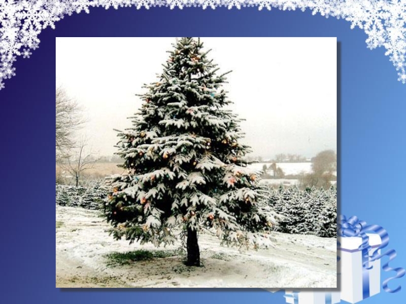 Презентация на свободную тему Новогодняя ёлка (4 класс)