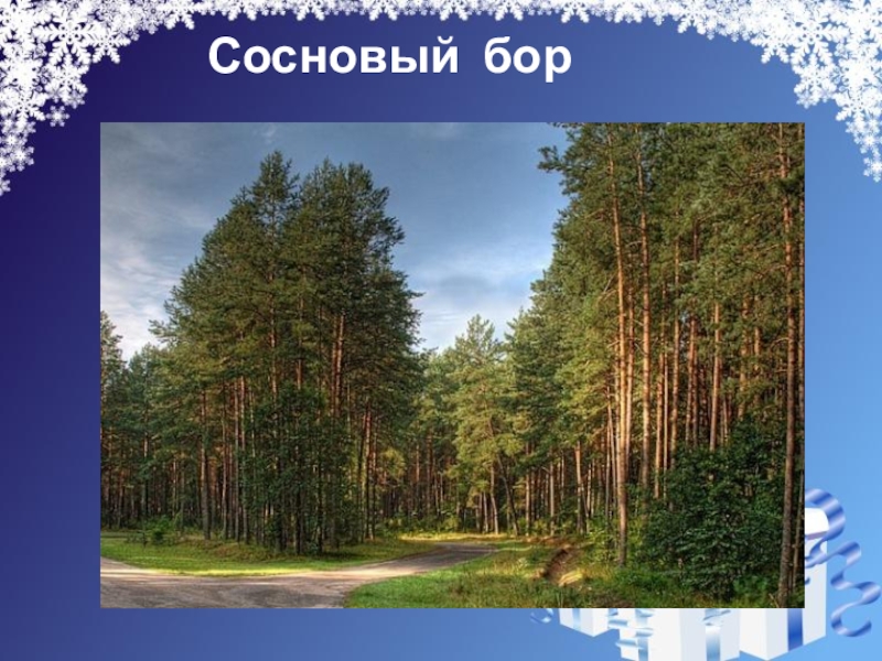 Презентация на свободную тему Новогодняя ёлка (4 класс) Сосновый бор Сосновый бор
